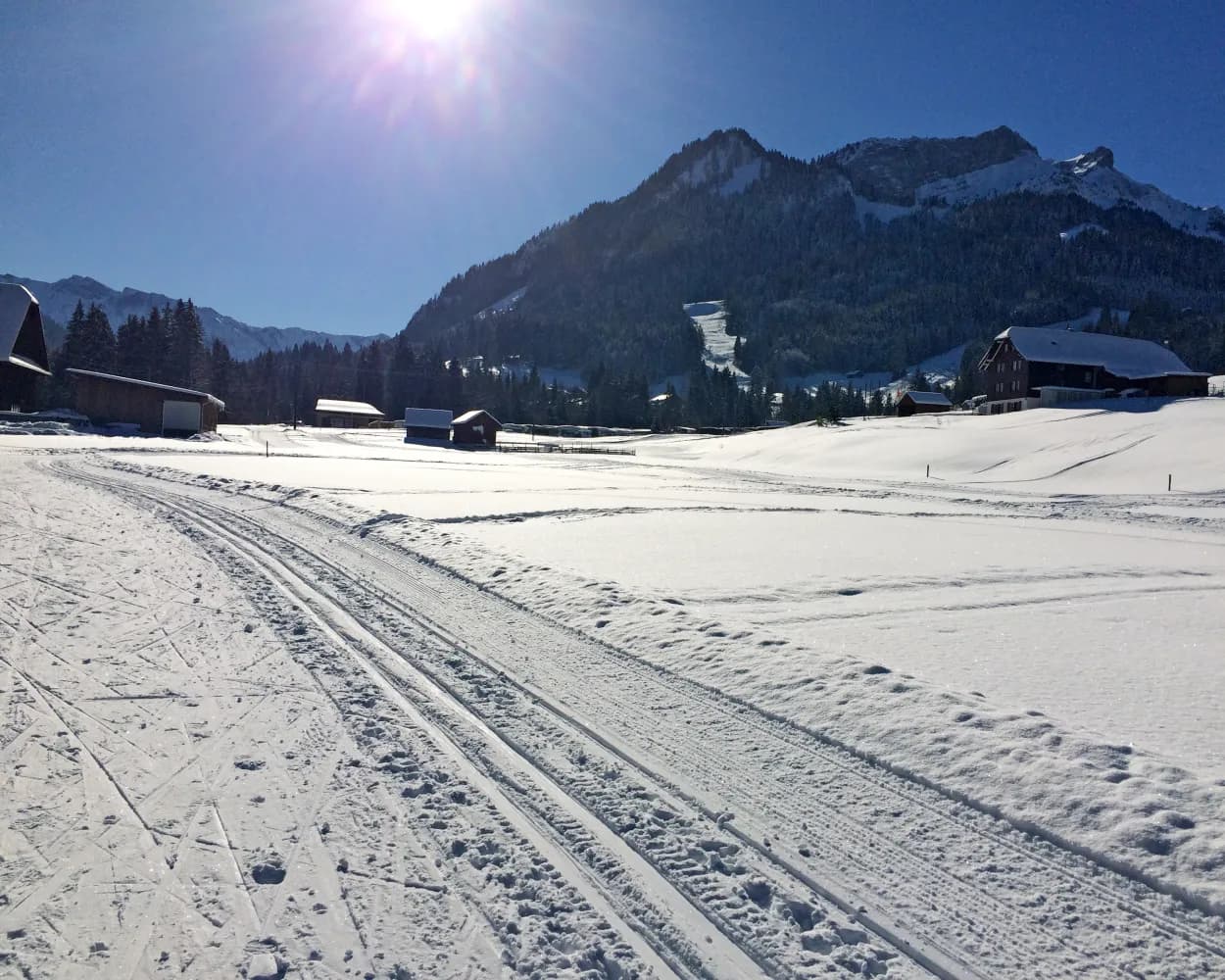 Langlaufloipe Thorbachmatte