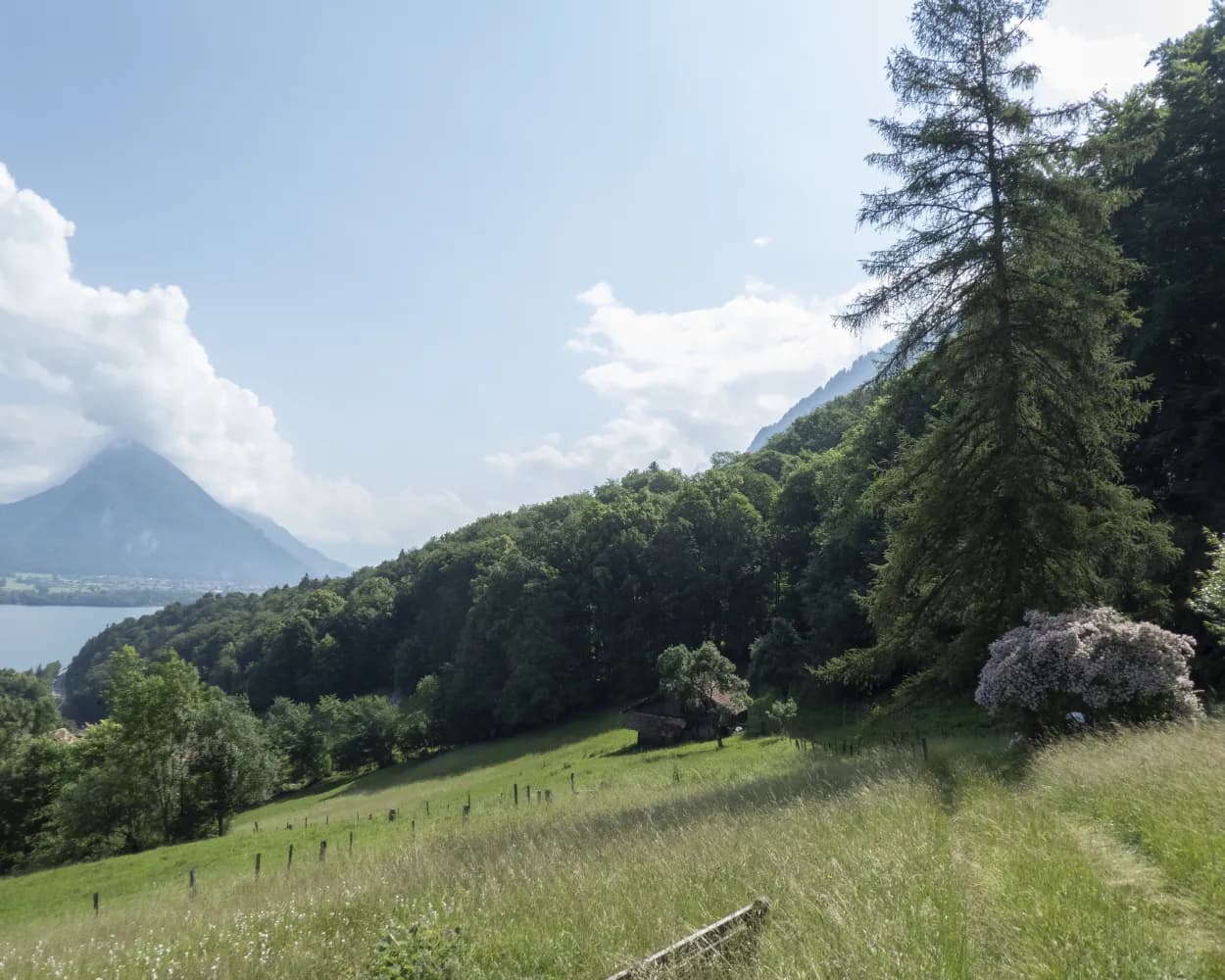 Alpine Bike, Etappe 13/16