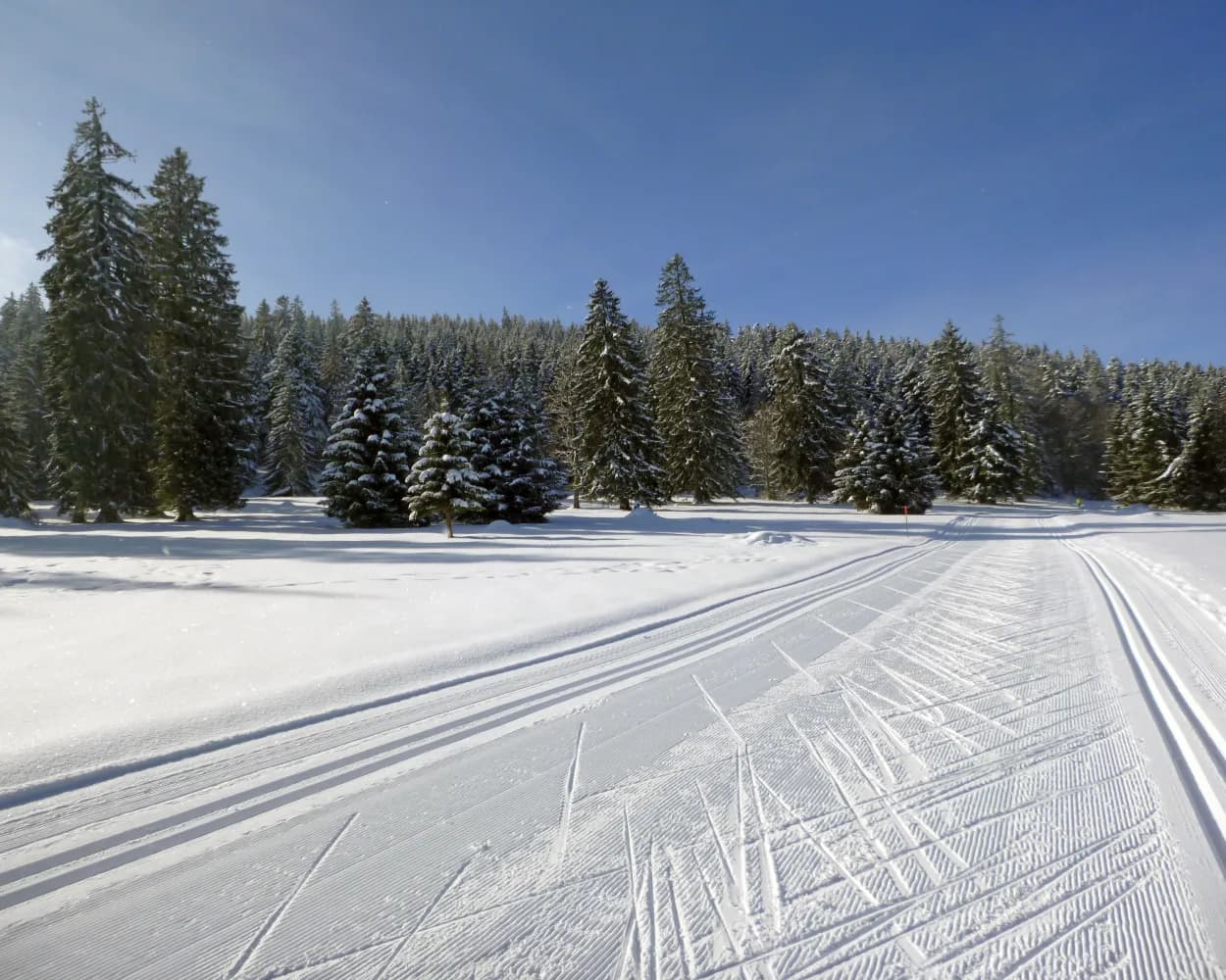 Stations de ski de fond accessibles depuis Neuchâtel en transports publics