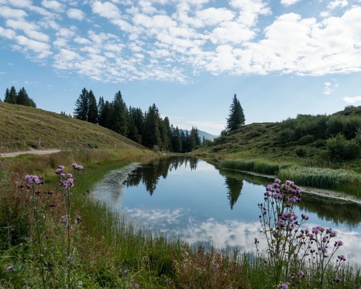 Dreibündenstein Panoramaweg
