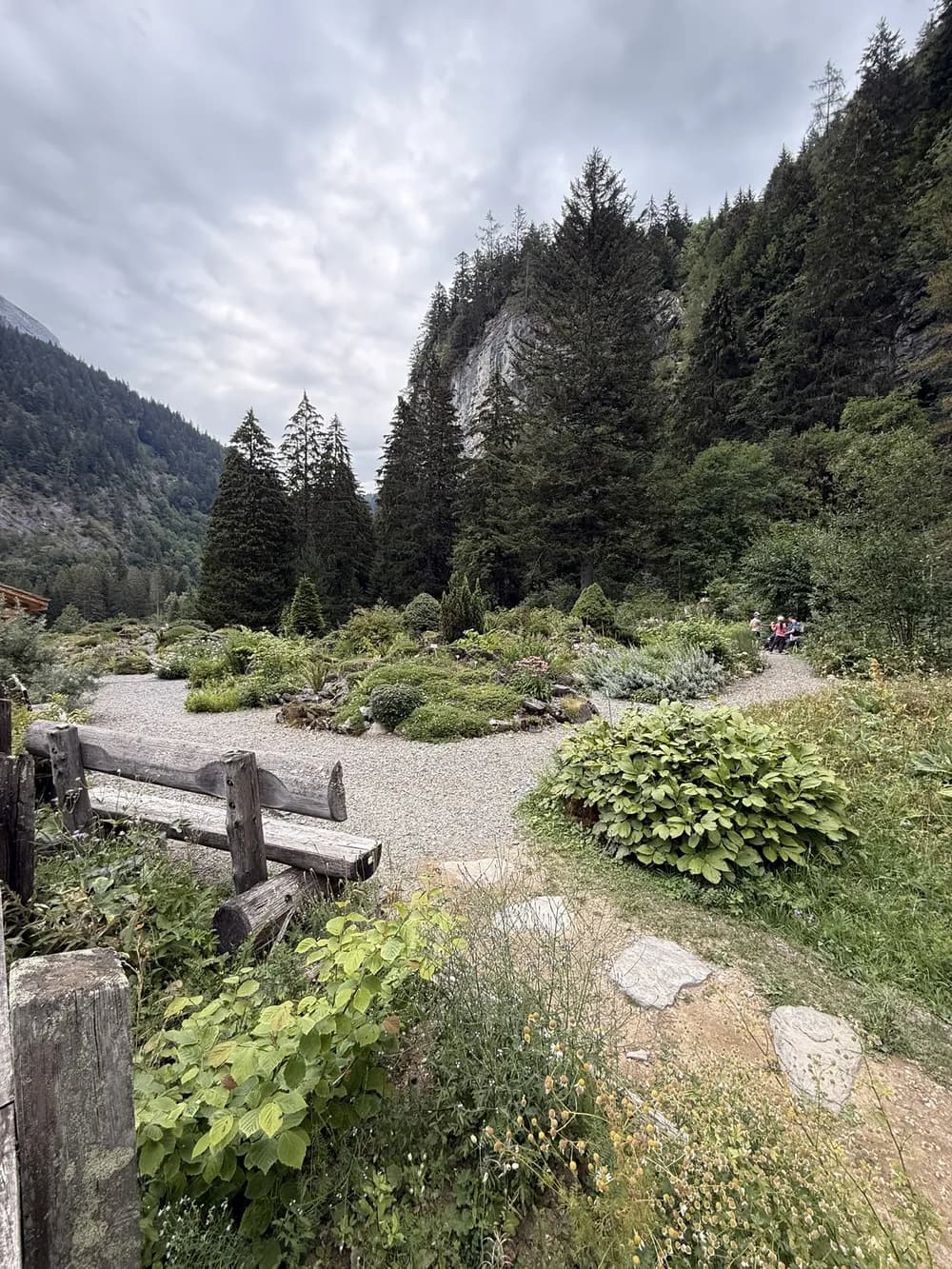 Jardin alpin cantonal "La Thomasia"