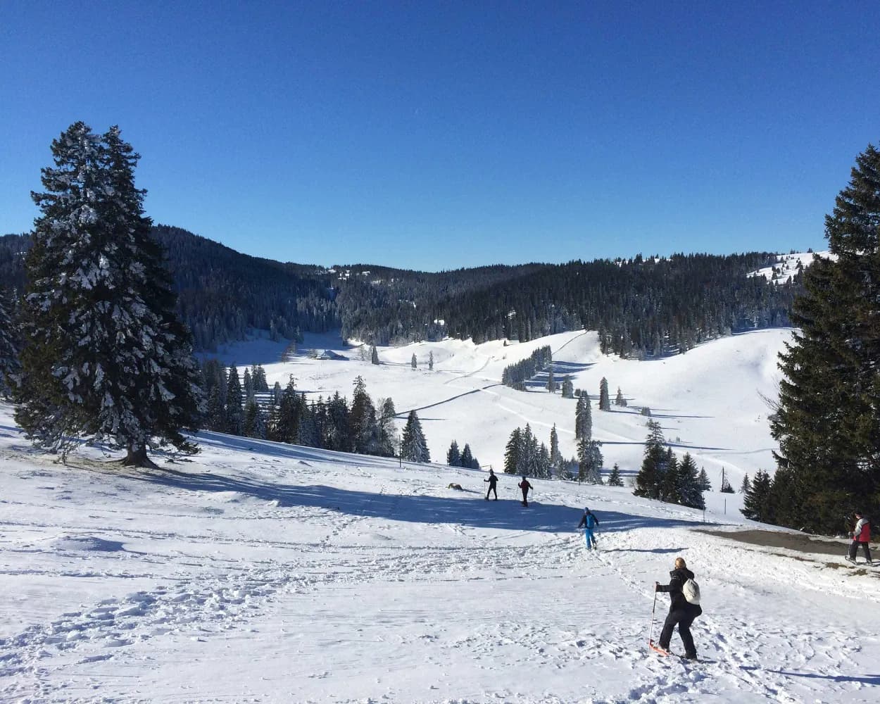 Parcours Col du Mollendruz–Châtel