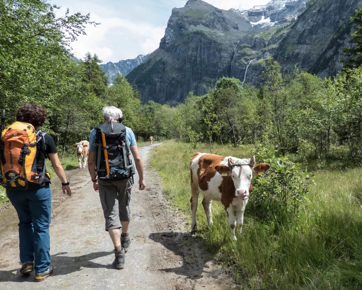 Lötschberg-Panoramaweg