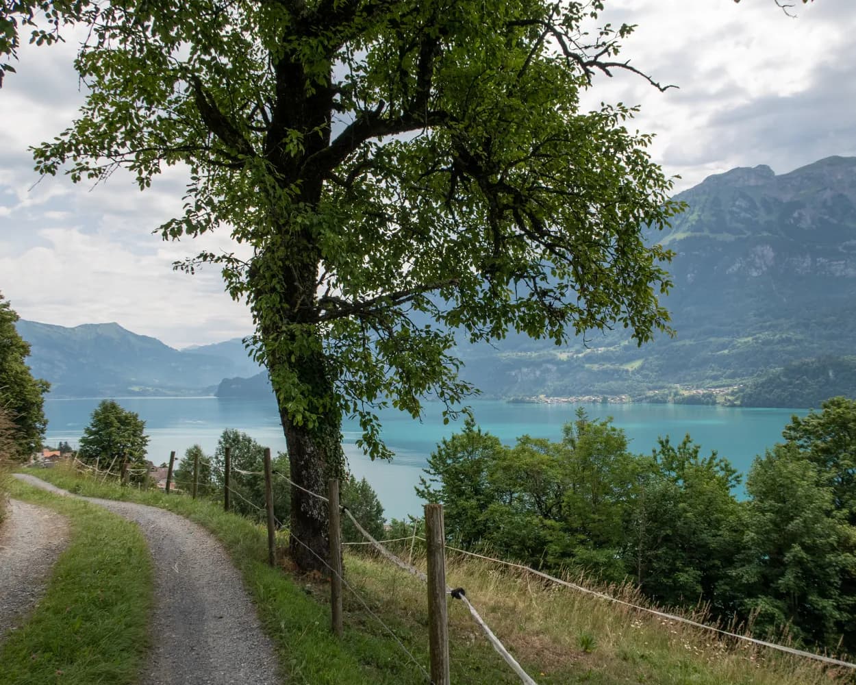 Brienzersee Bike