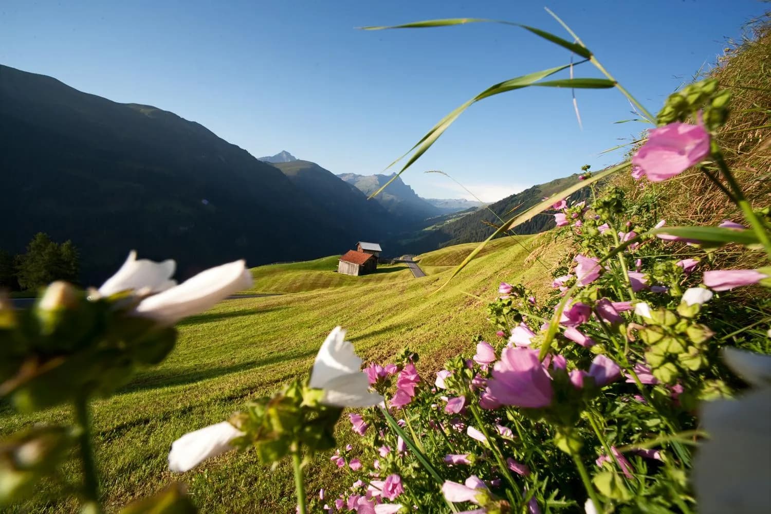 Walserweg Safiental