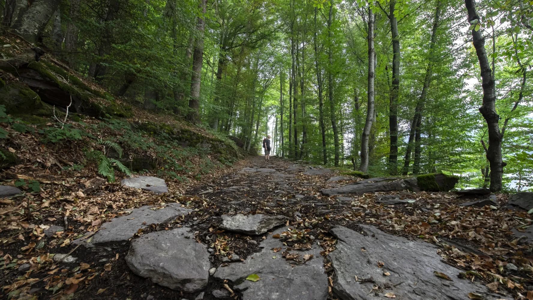 Via Alpina, Stage 2/20