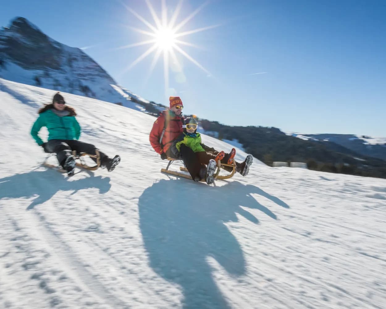 Descente en luge de Moléson