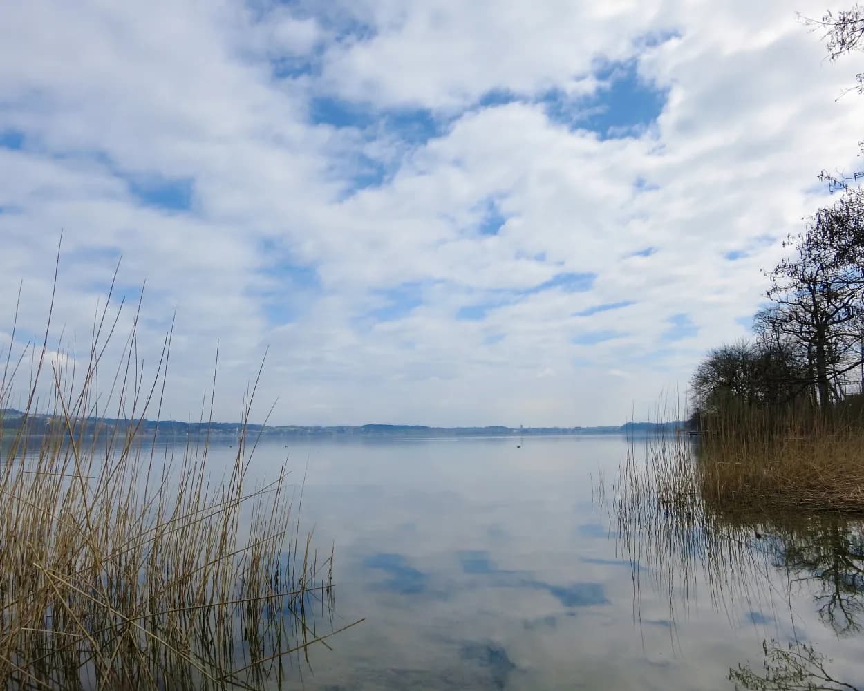 Sempachersee-Moosweg
