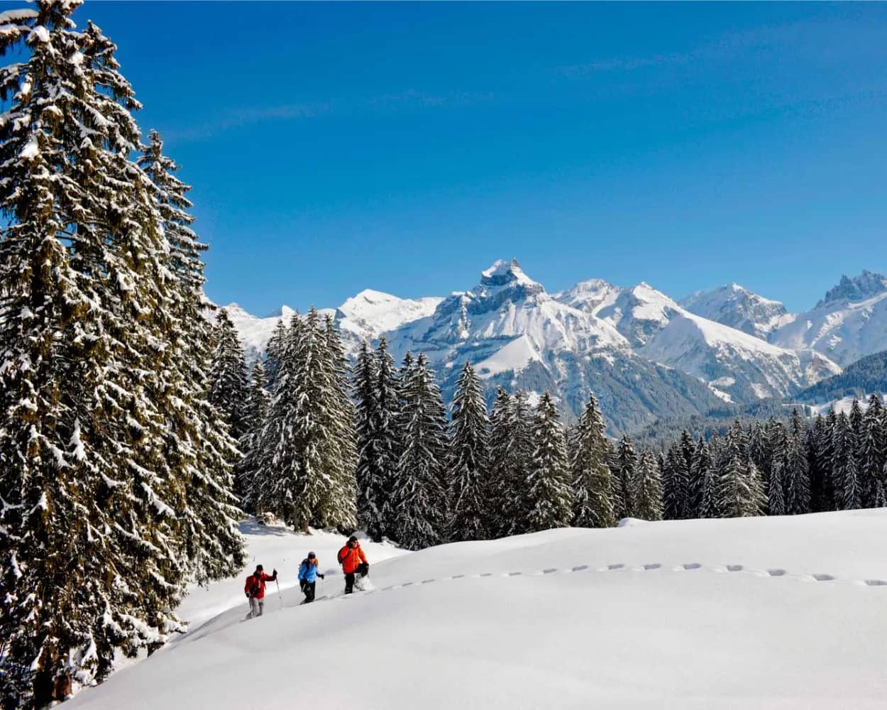 Schneeschuhtrail Untertrübsee
