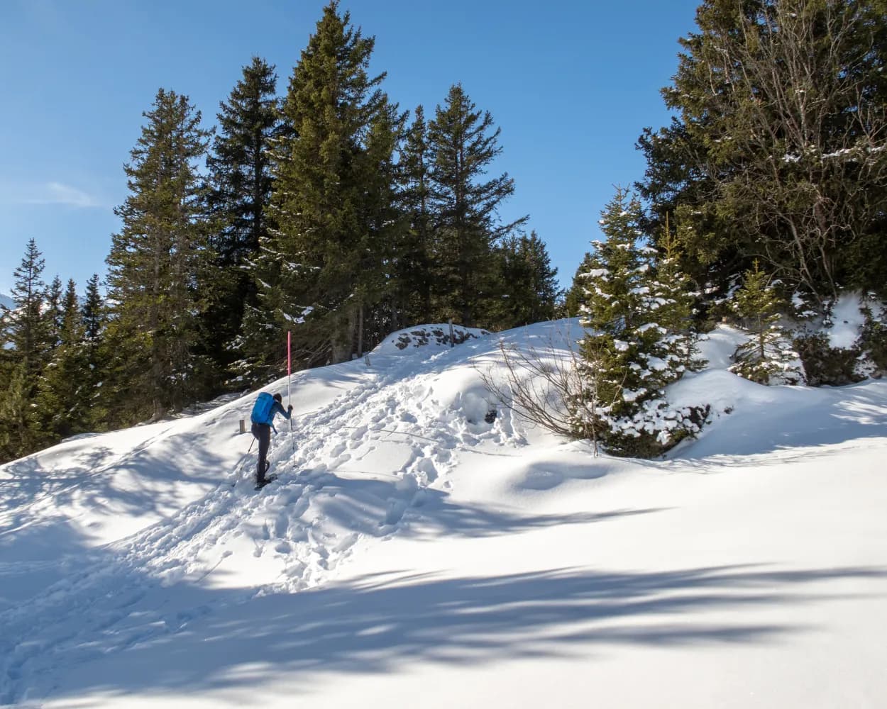 Schneeschuhtrail Plattis