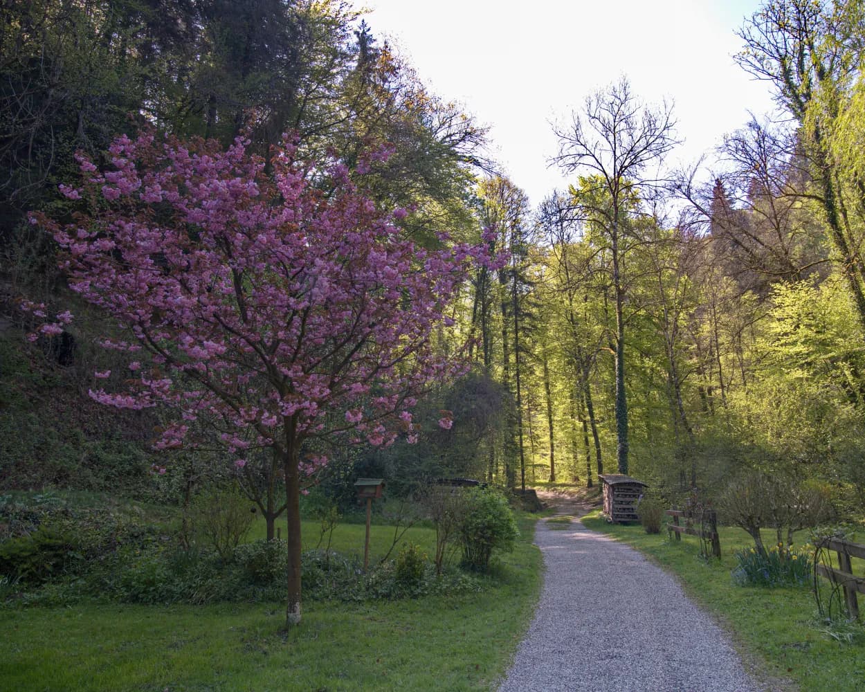 Tour du Vallon des Vaux