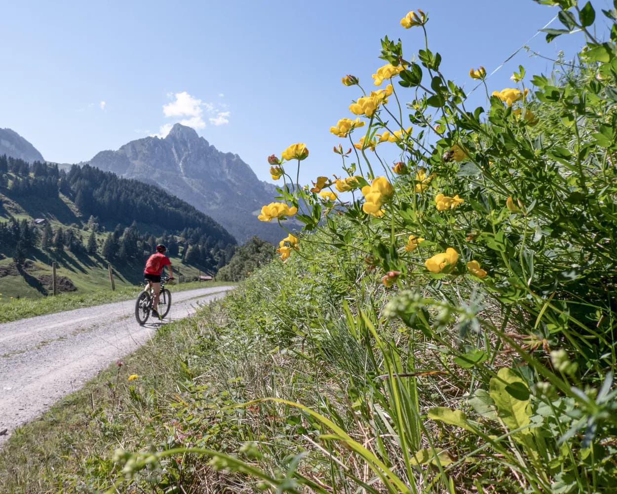 Alpine Bike, Stage 15/16