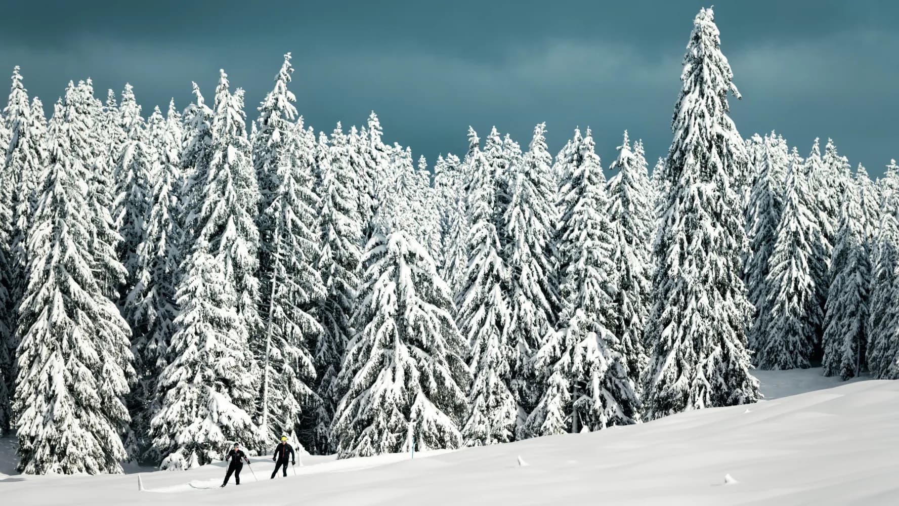 Cross-country skiing resorts from Estavayer-le-Lac by public transport