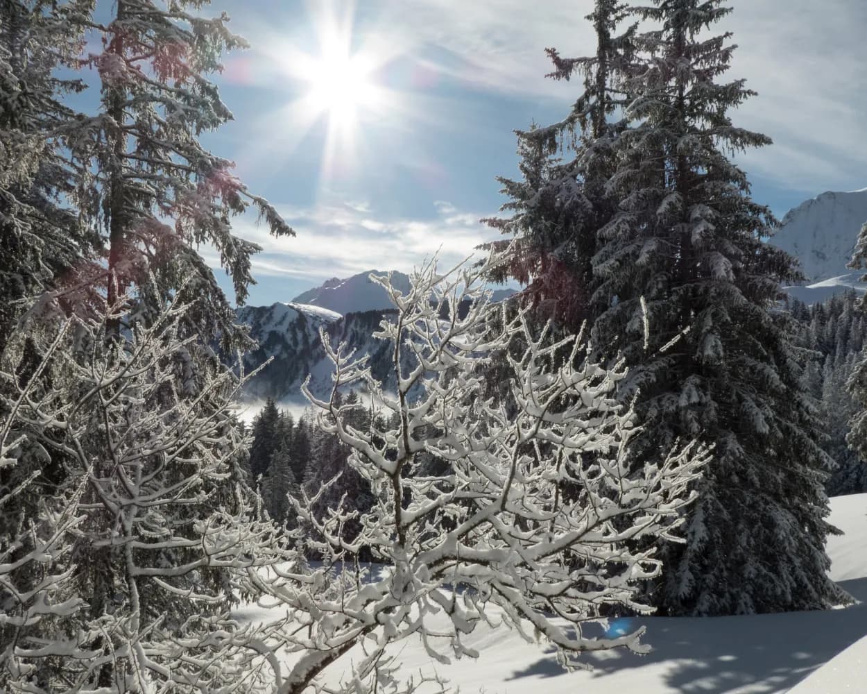 Selibüel-Winterwanderweg
