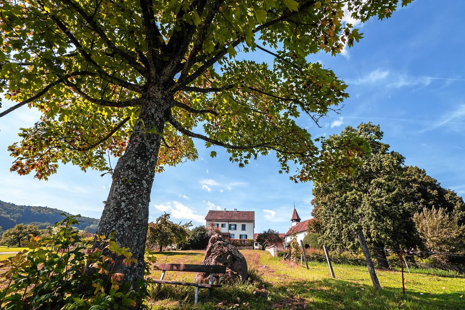 Reiatweg