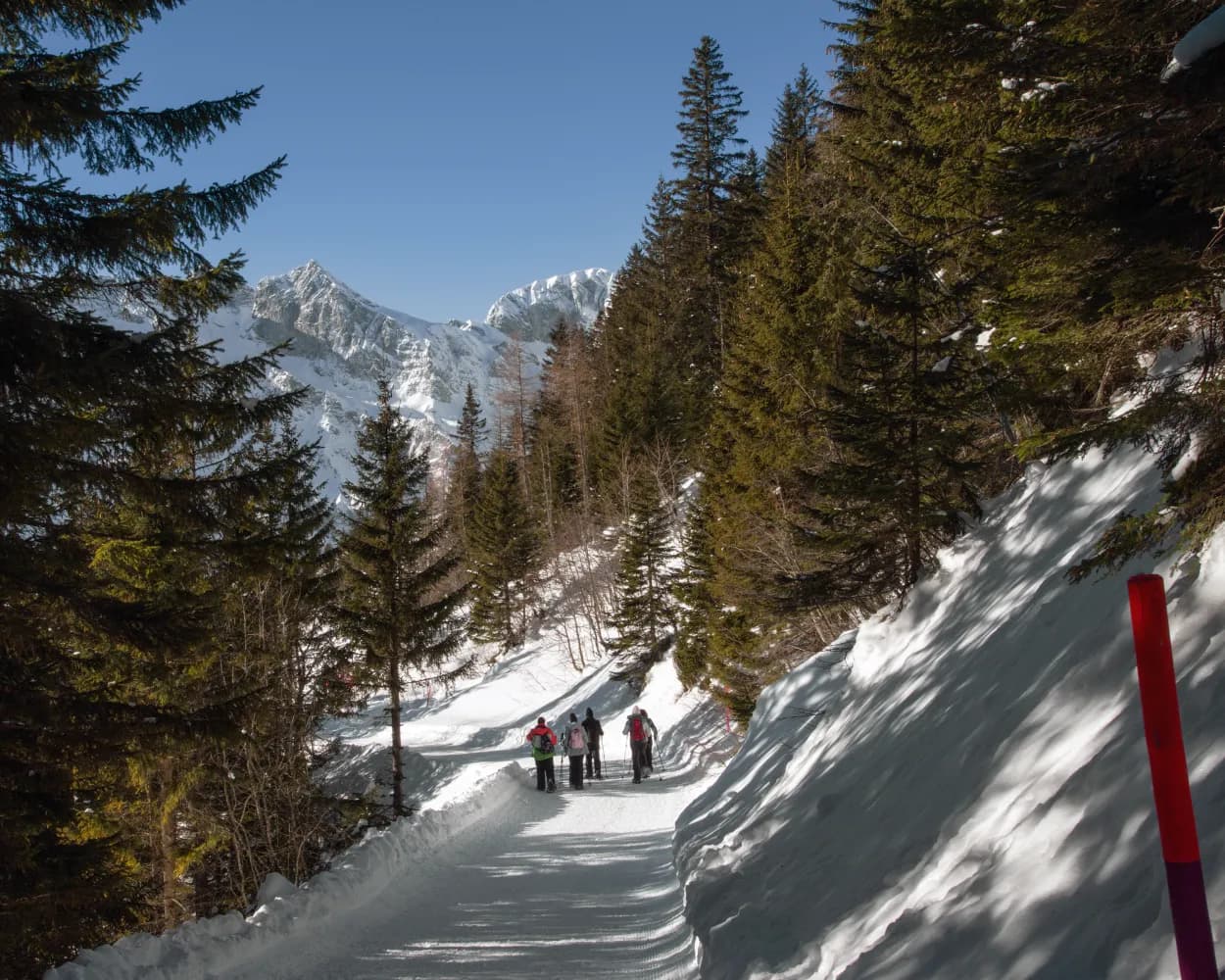 Panoramaweg Rigidalalp