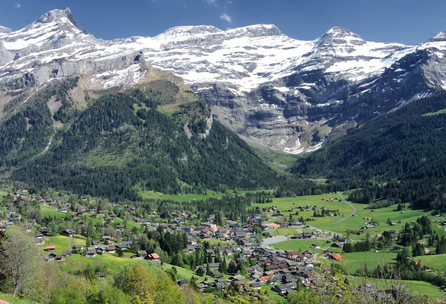 Alpi vodesi