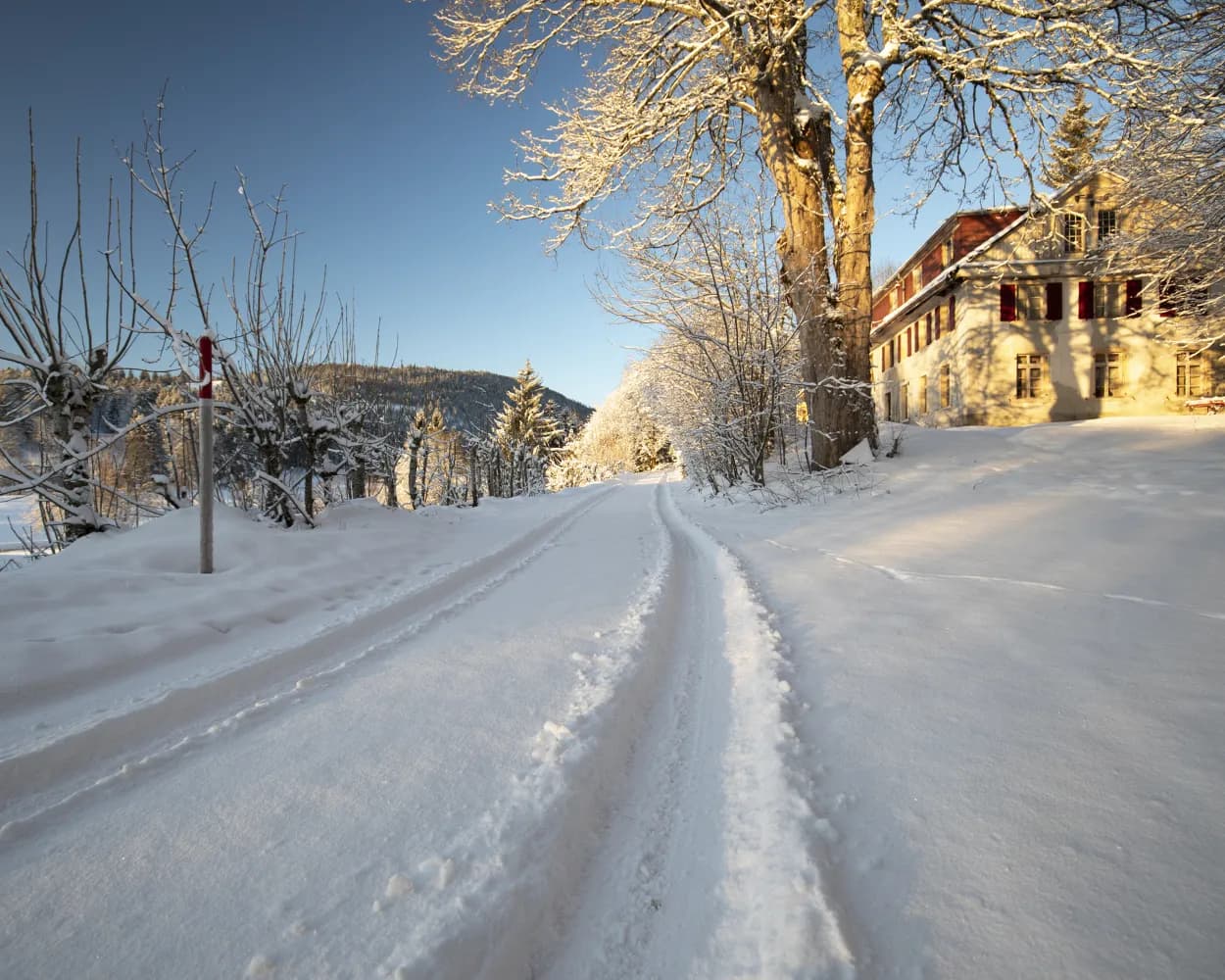 Chemin de Prés-d’Orvin
