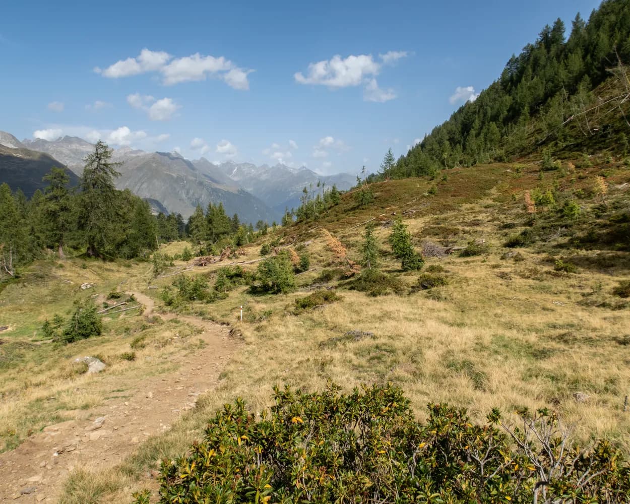 Chemin des cols alpins, Étape 13/43