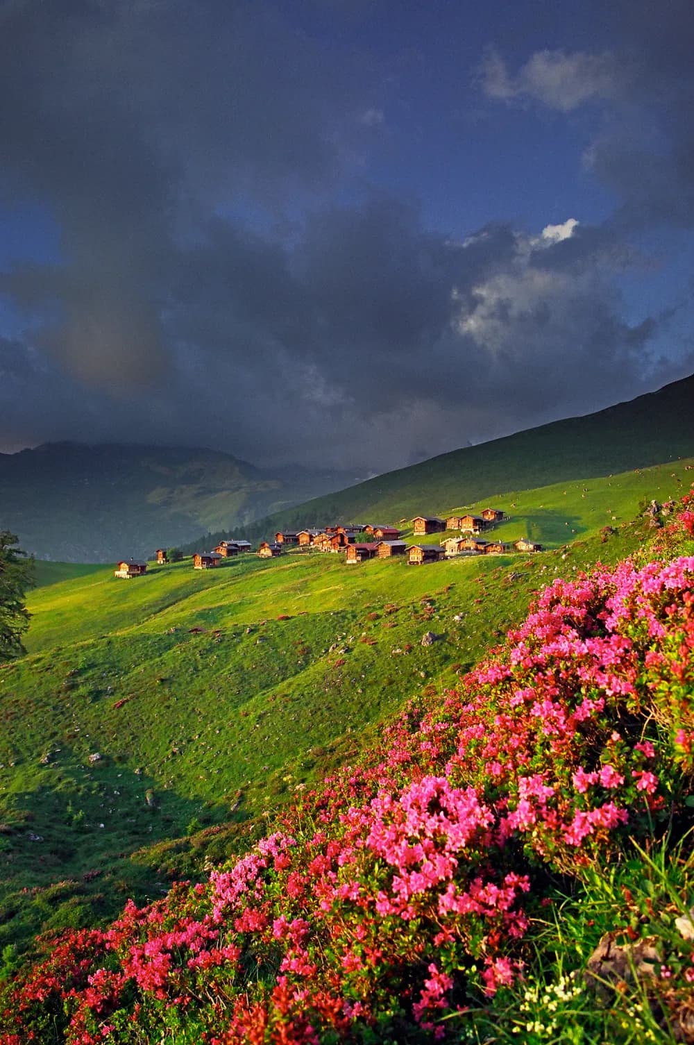 Walserweg, Stage 16/19