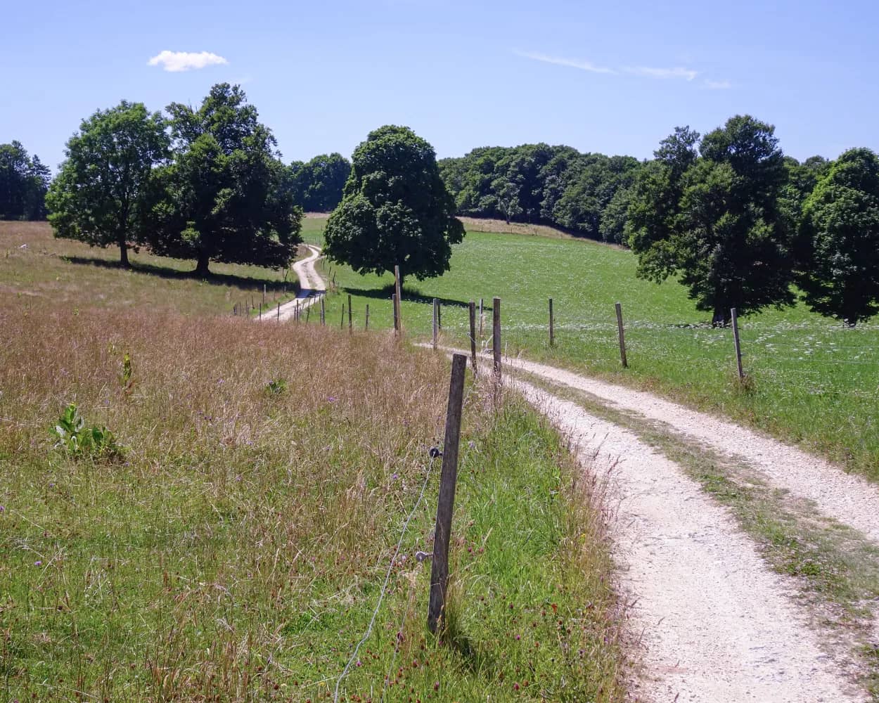 Chemin de Montoz