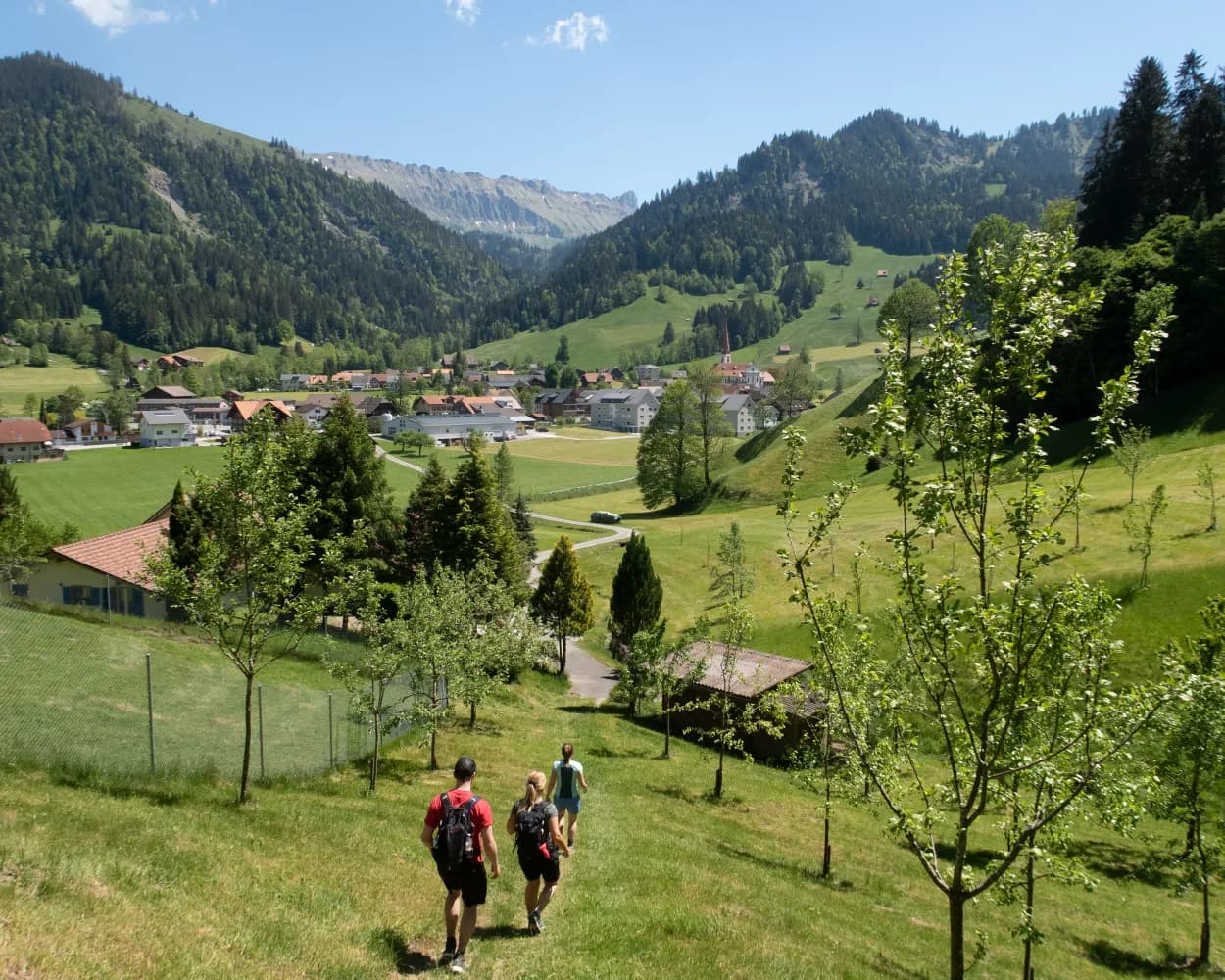 Grenzpfad Napfbergland, Stage 4/6