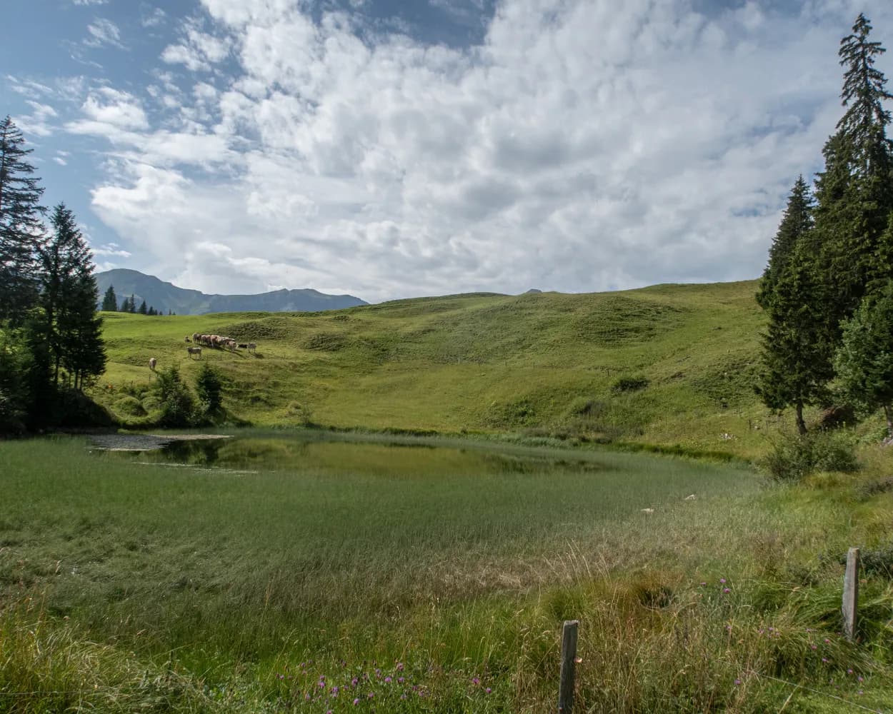Obwaldner Höhenweg, Stage 2/6
