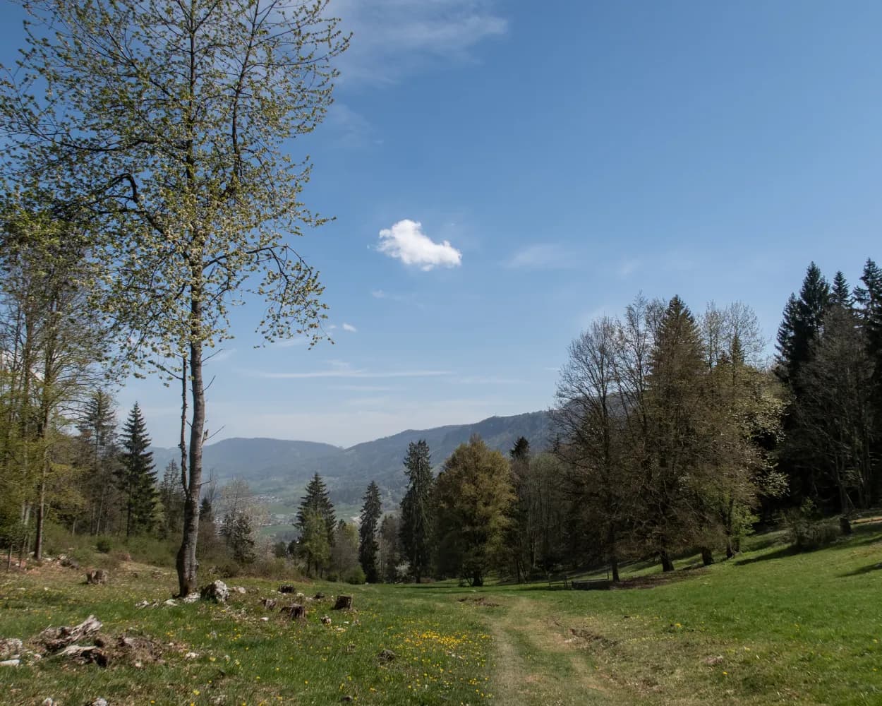 Chemin du Jura bernois, Stage 1/4
