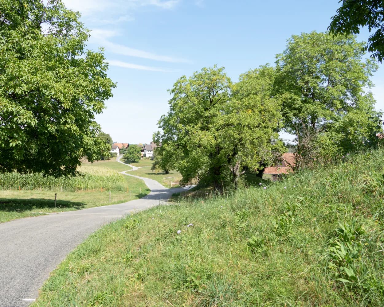 Grüningen-Greifensee-Weg