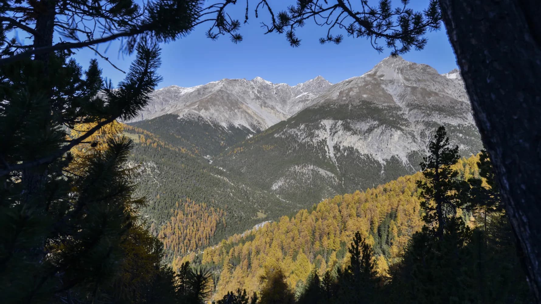 Kinderpfad Champlönch