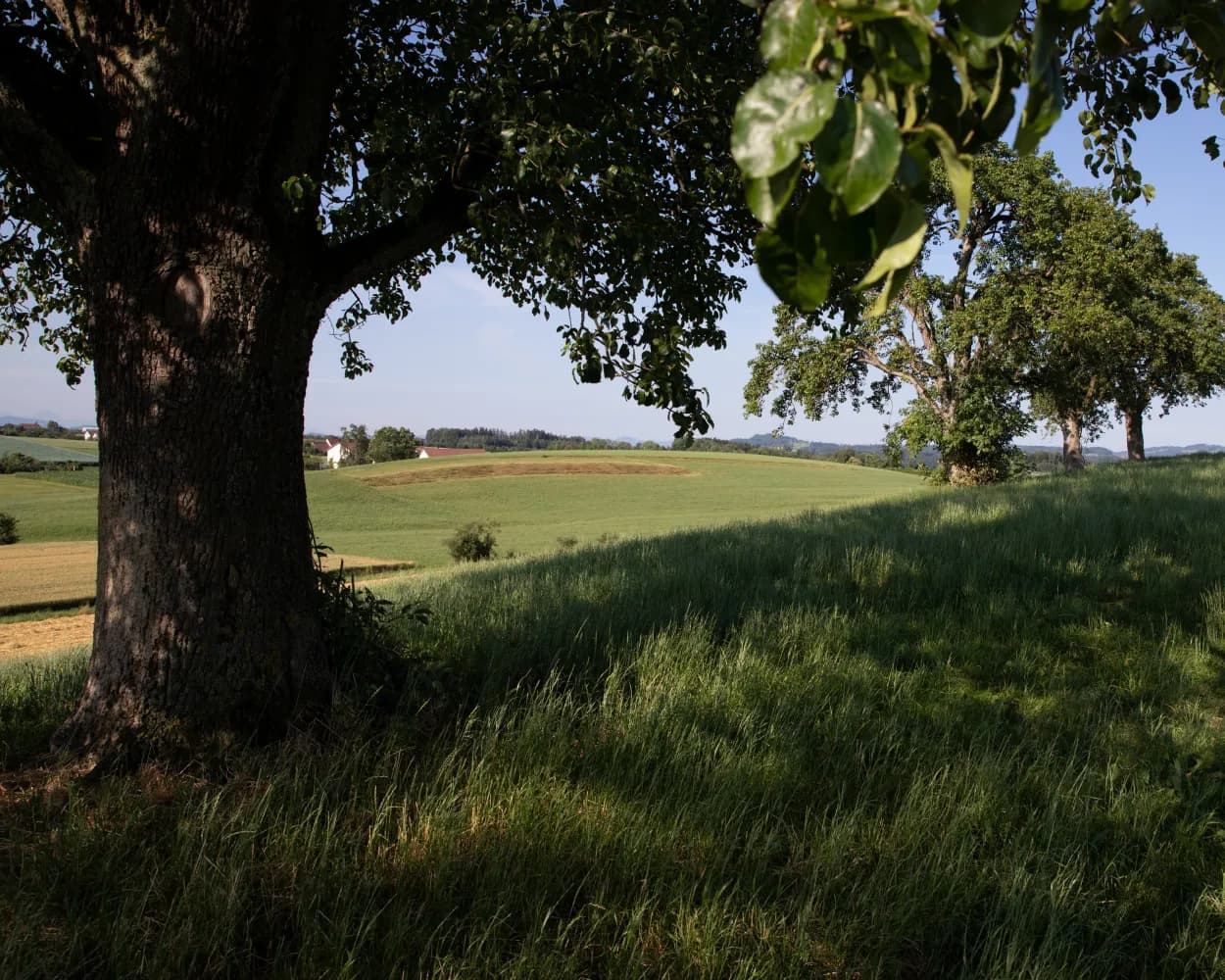 Thurgauer Panorama-Route