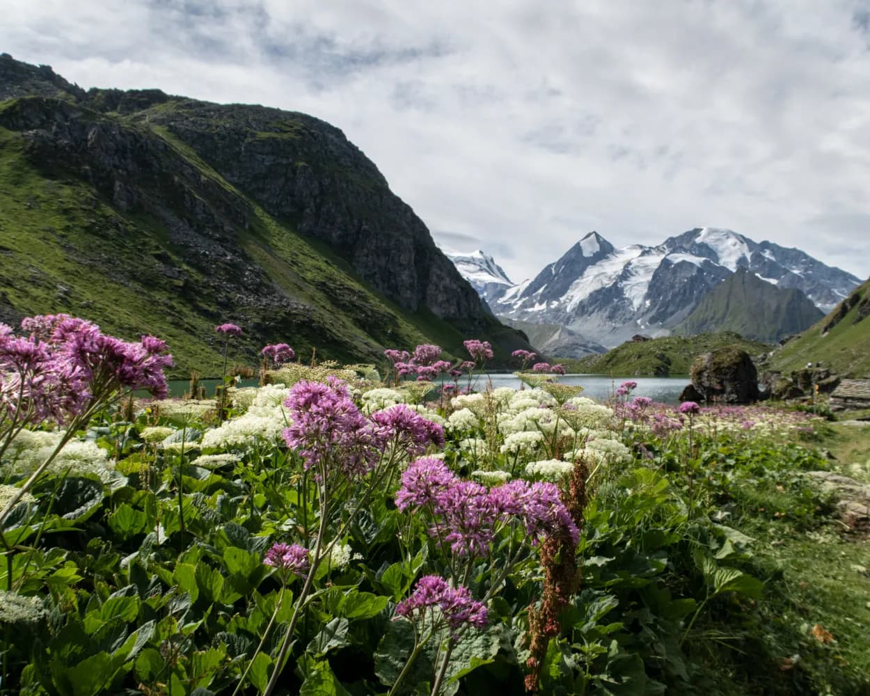 Alpine Passes Trail, Stage 33/43