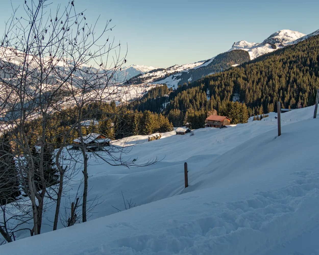 Obersaxer Schneeschuhtrail