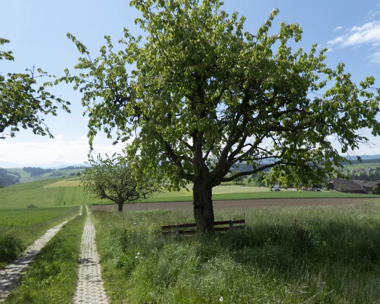 Grenzpfad Napfbergland, Stage 1/6