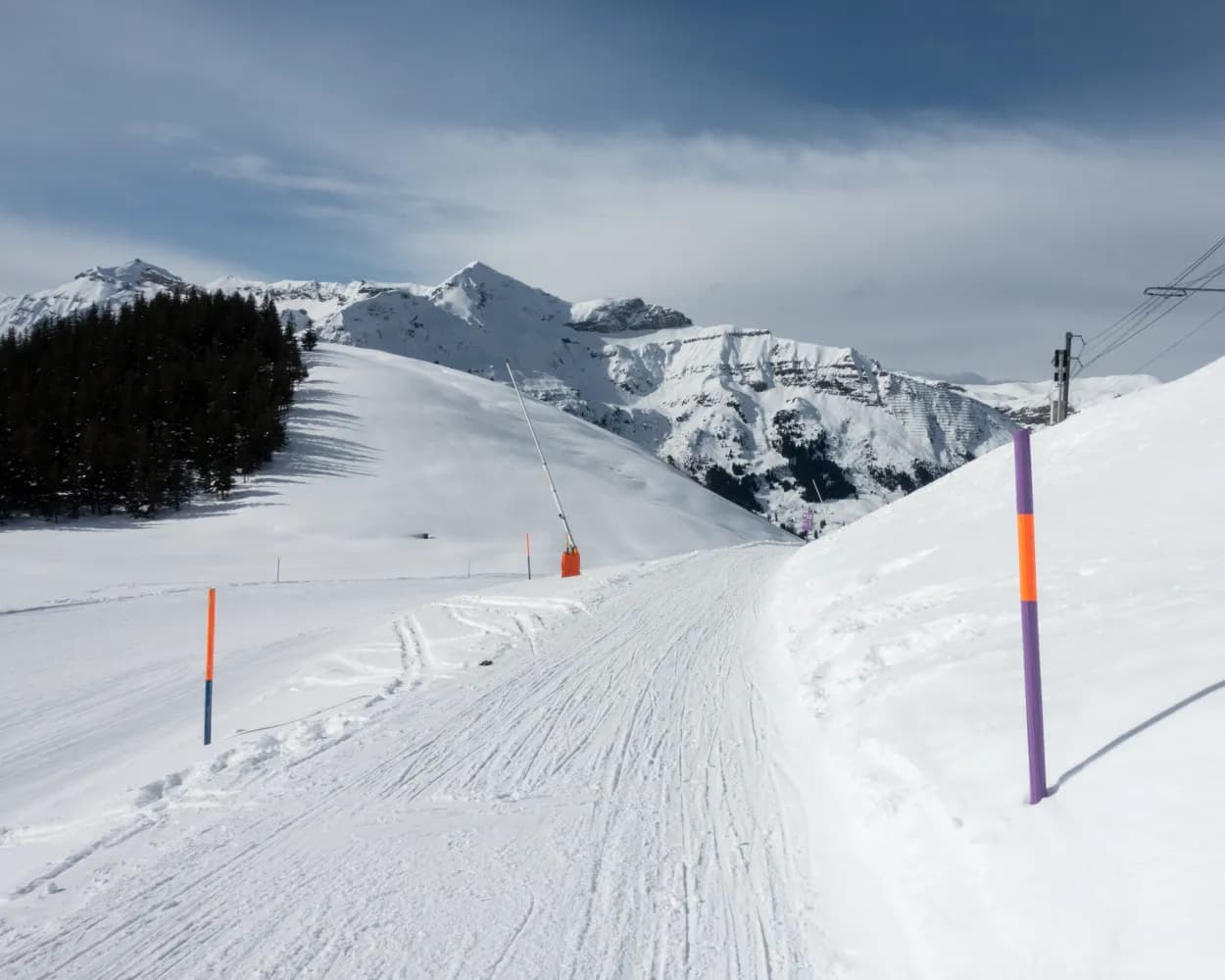 Foxrun Wengernalp–Wengen