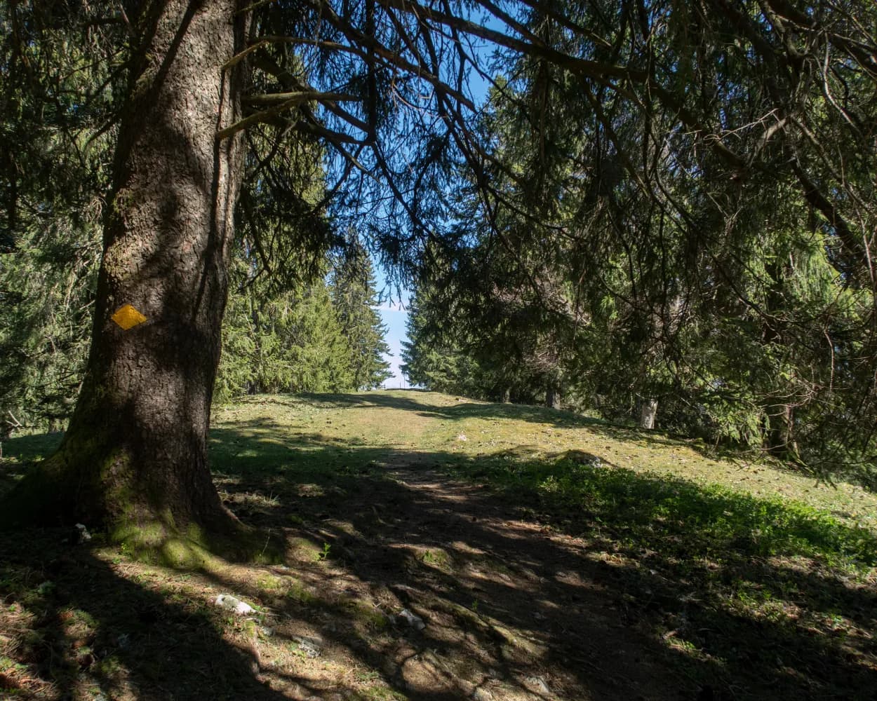 Chemin du Jura bernois, Stage 2/4
