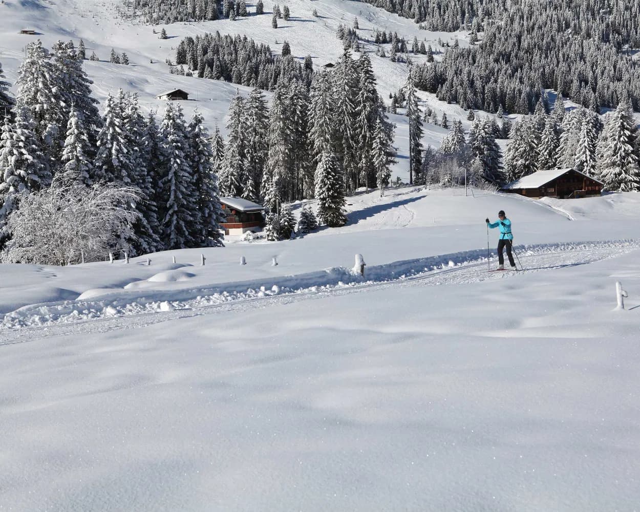 Les Mosses - La Lécherette