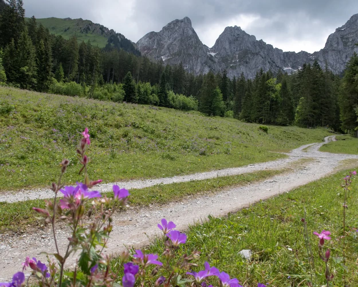 Tour des Alpes Vaudoises, Stage 4/8