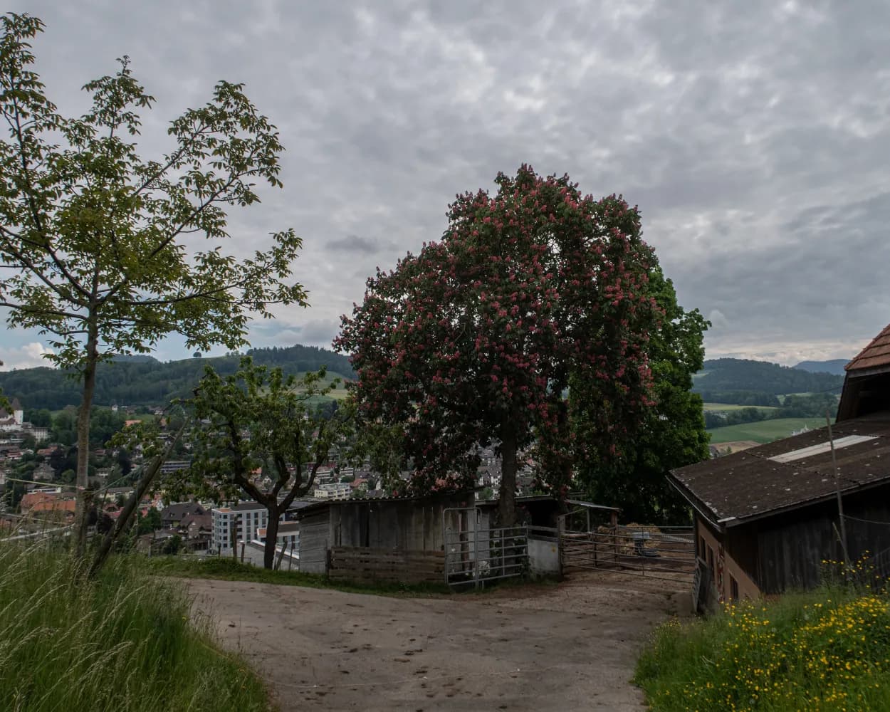 Trans Swiss Trail, Stage 10/32