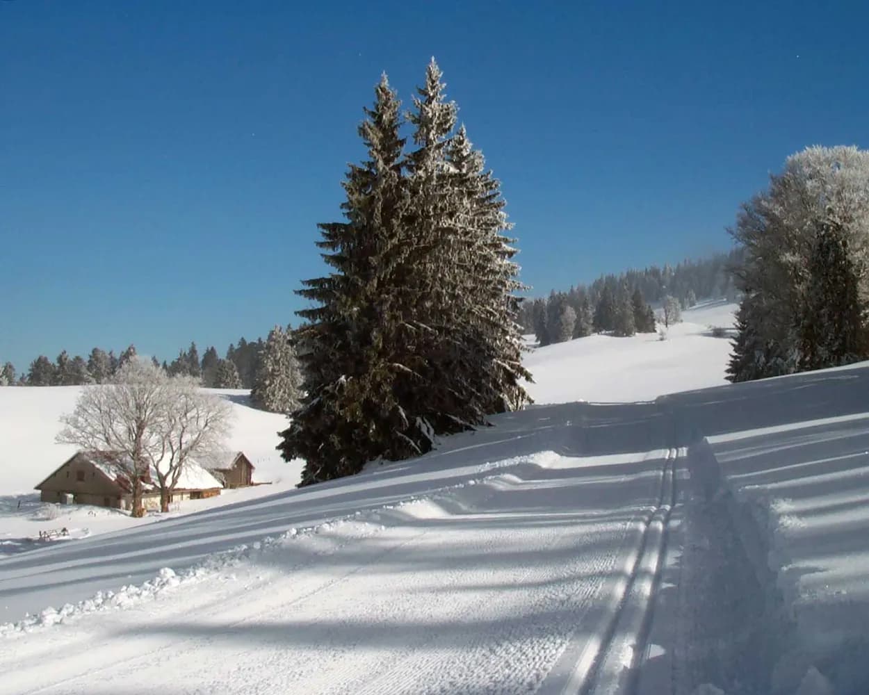 Vue des Alpes/Tête de Ran