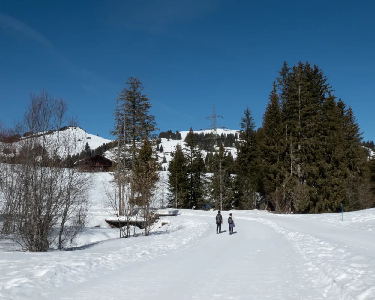 Chemin Les Mosses–La Lécherette