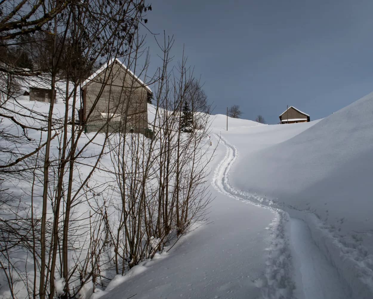 Landscheidi Trail