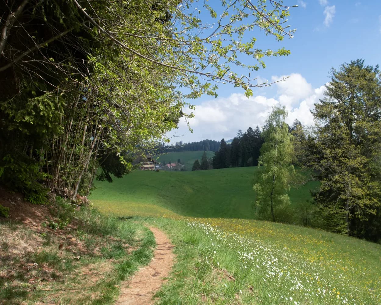 Alpine Panorama Trail, Stage 16/29