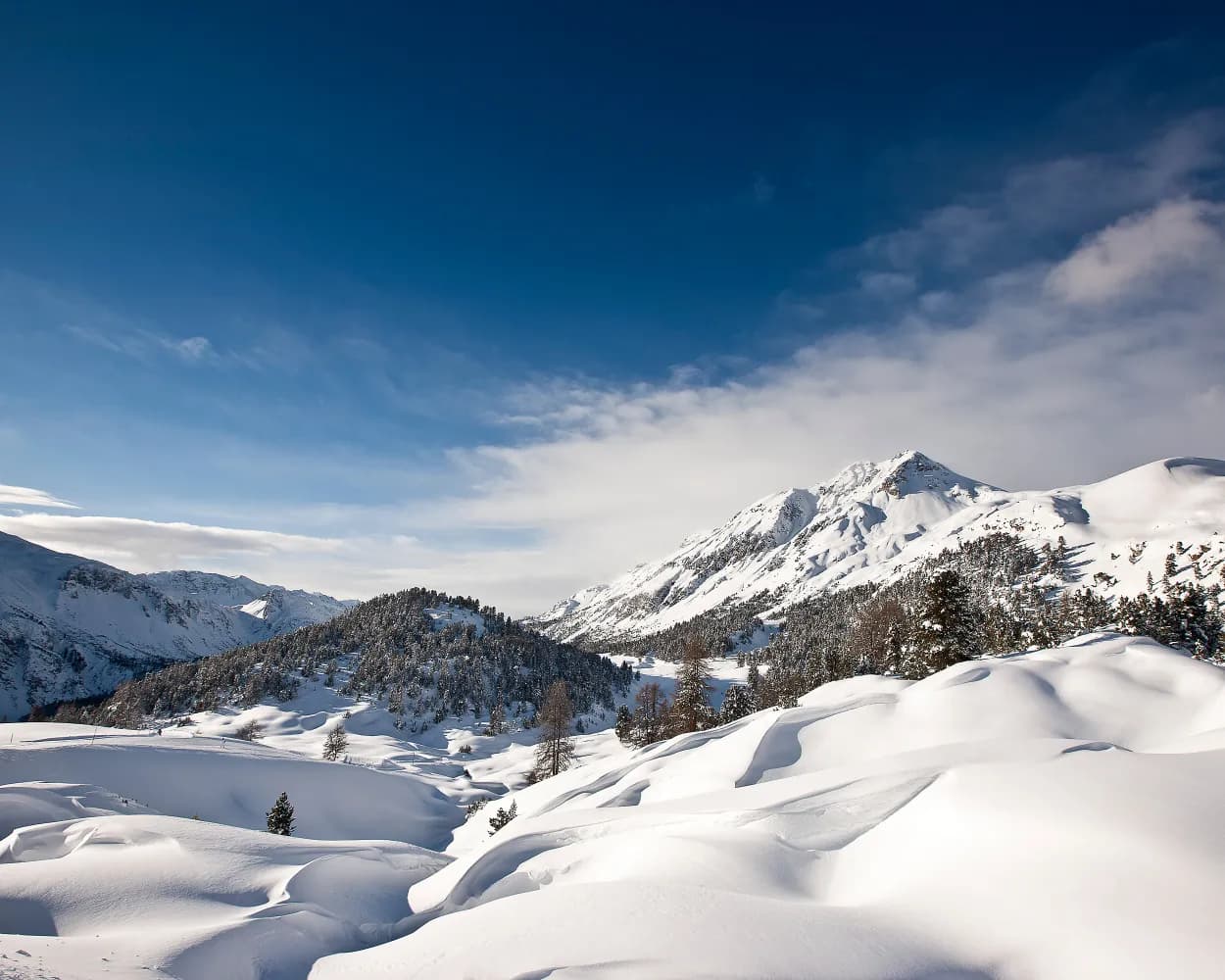Lü-Tschierv-Schlittelweg