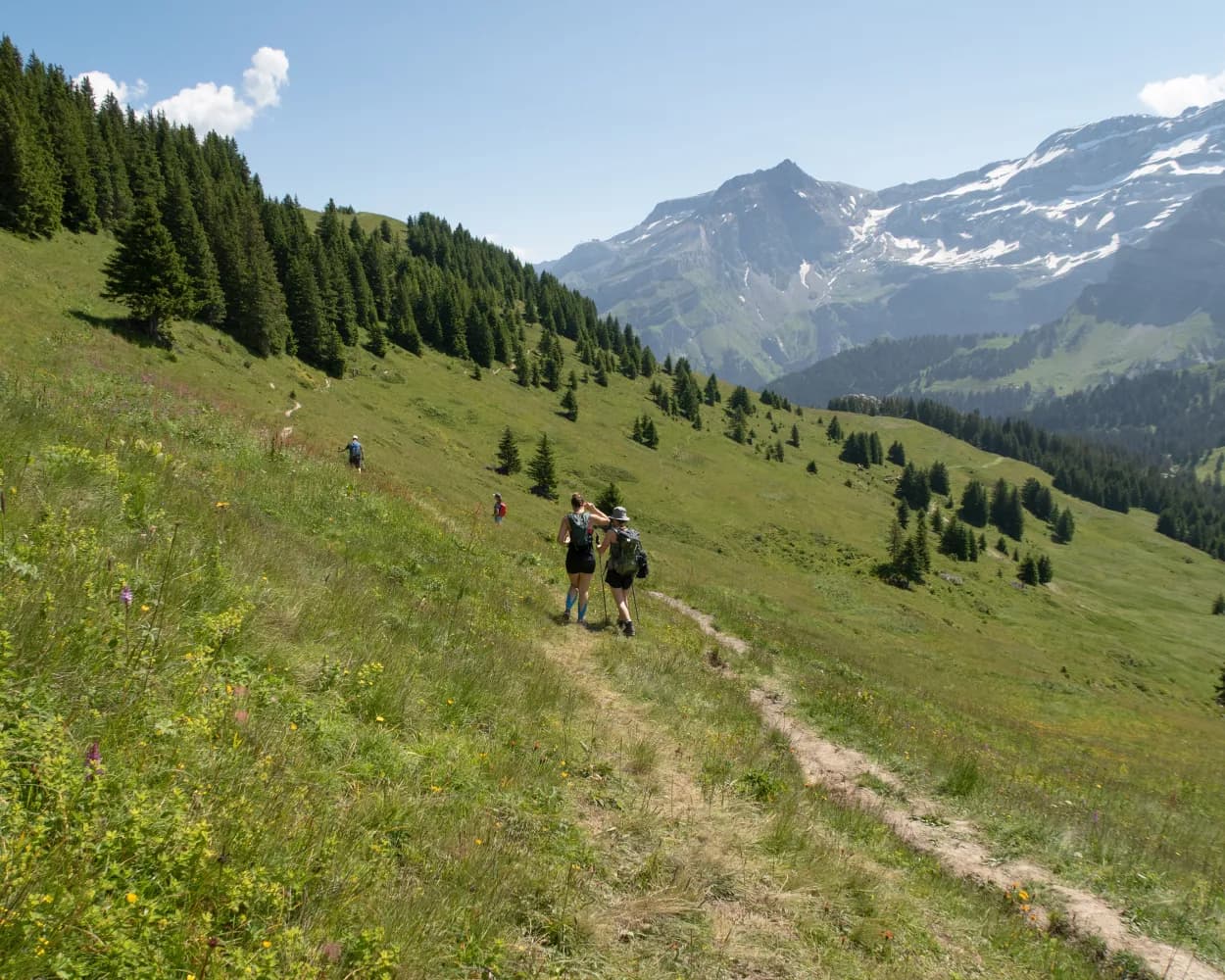 Chemin des pyramides de Gypse