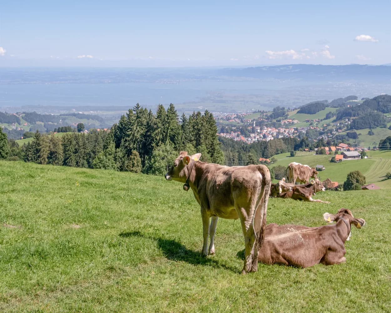 Alpine Panorama Trail, Stage 1/29