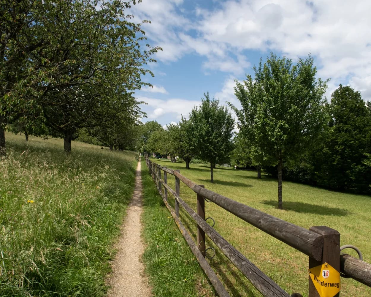 ViaGottardo, Stage 2/20