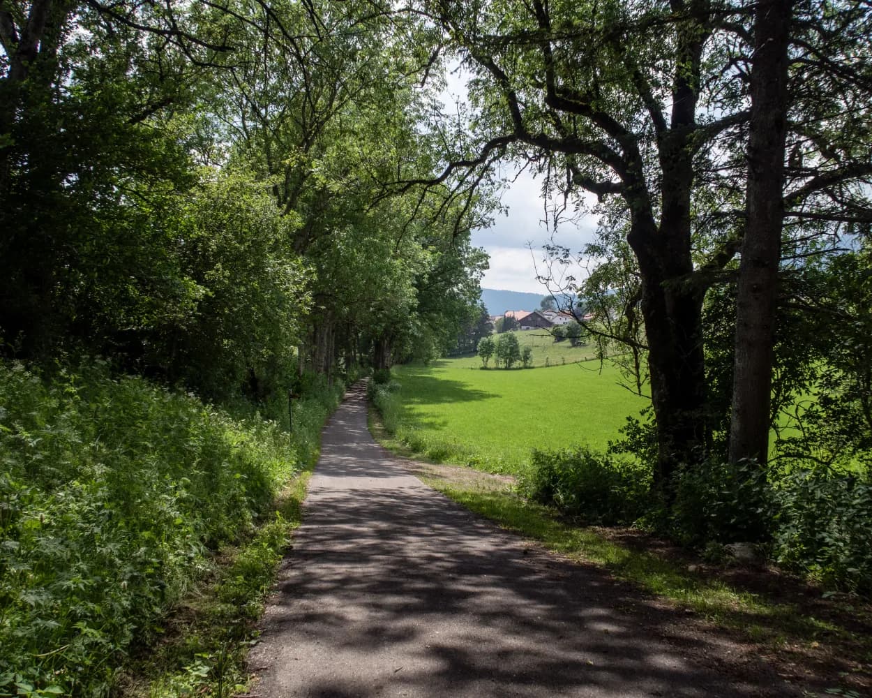 ViaBerna, Stage 4/20