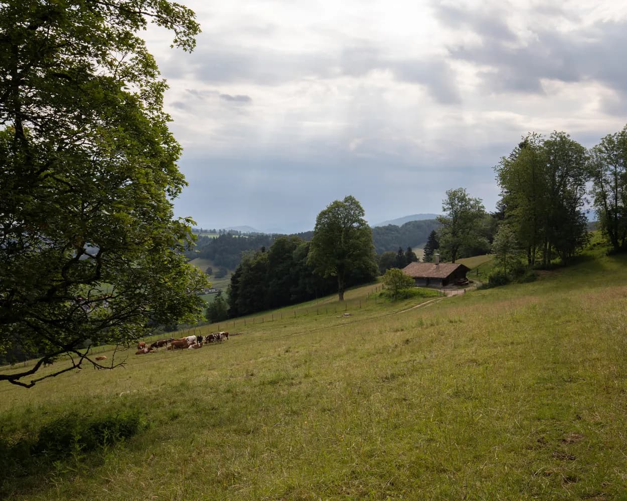 Chemin du Jura, Stage 1/5