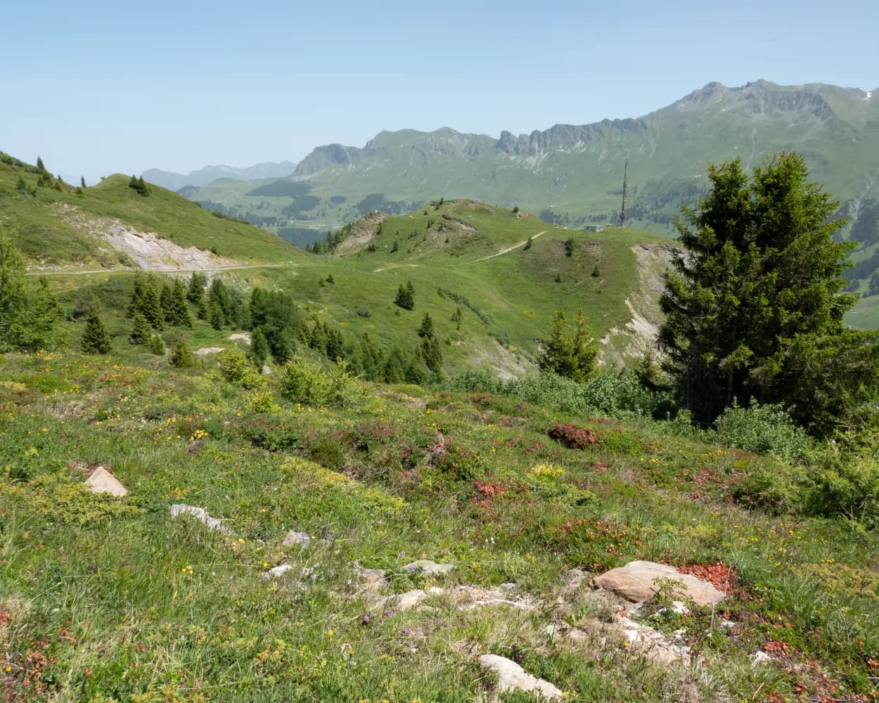 Heidbüel-Tgantieni-Höhenweg